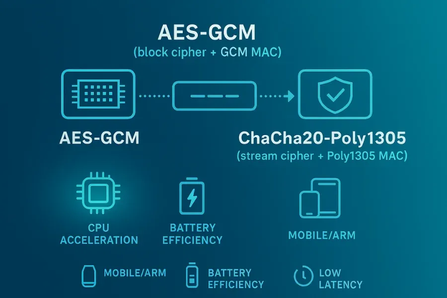 VPN Encryption Tunnel Security Diagram AES-256 vs ChaCha20