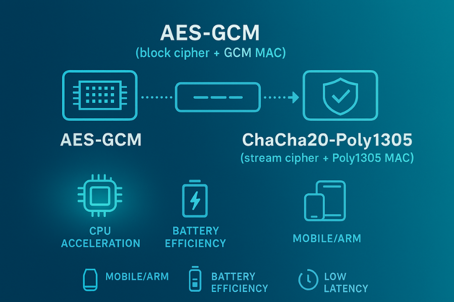 VPN Encryption Tunnel Security Diagram AES-256 vs ChaCha20