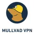 Mullvad VPN logo