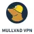 Mullvad VPN logo