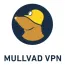 Mullvad VPN logo
