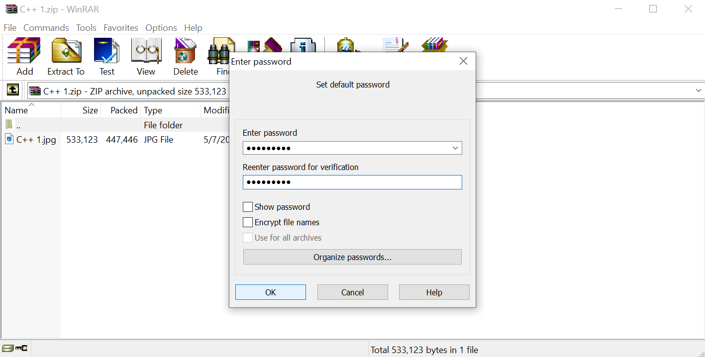 WinRAR Set Password Encryption Options Window